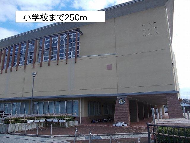 周辺 山室小学校まで250m 写真14
