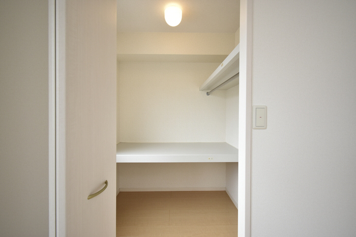 収納 ウォークインクローゼット 写真8