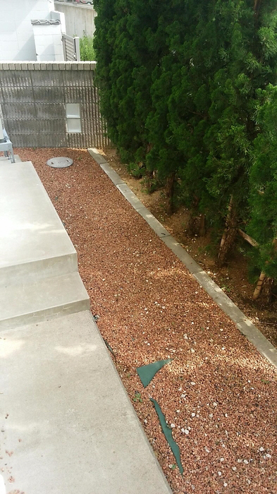 庭 写真28