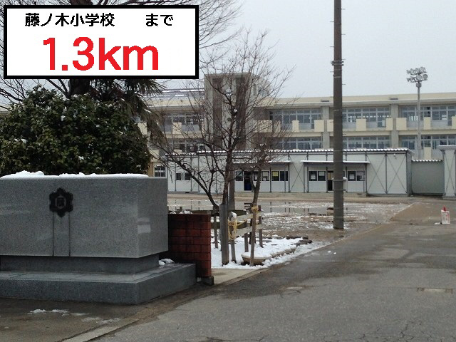 藤ノ木小学校まで1297m (徒歩17分) 写真21