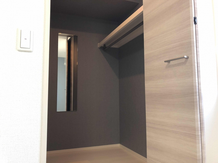 収納 ウォークインクローゼット 写真6