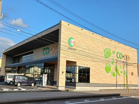 周辺 co・op経堂店まで500m 写真19