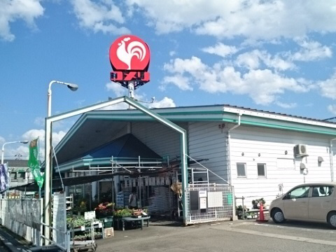 周辺 コメリ婦中店まで1000m 写真15