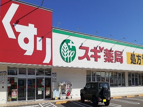周辺 スギ薬局 南富山店まで1100m 写真17