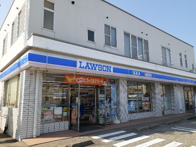 周辺 ローソン金泉寺店まで650m 写真14