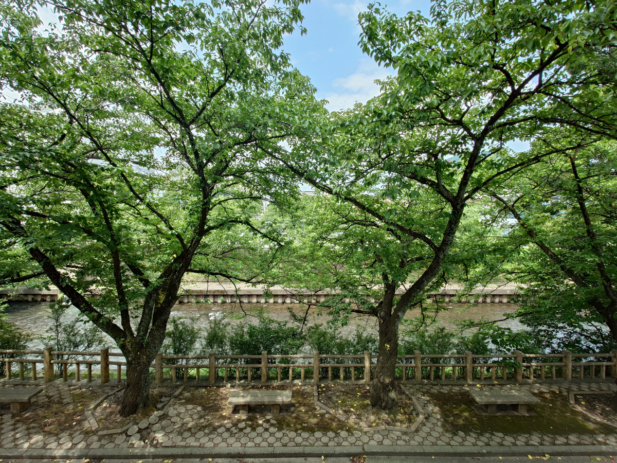 眺望 写真32