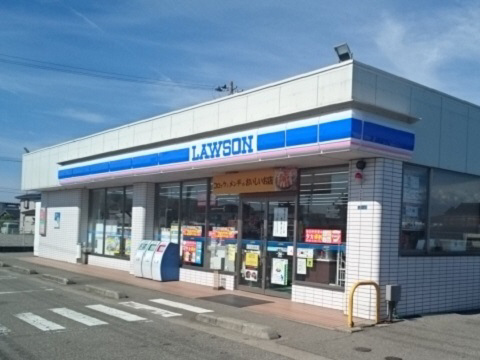 周辺 ローソン大広田店まで550m 写真17