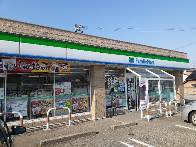 周辺 ファミリーマート富山向新庄店まで1000m 写真15