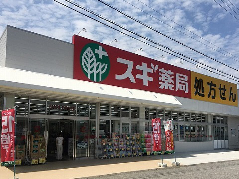 周辺 スギ薬局小杉店まで400m 写真11