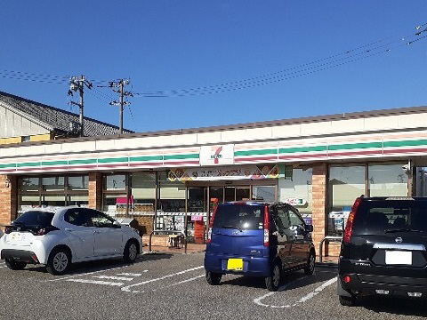 周辺 セブンイレブン婦中上島店まで700m 写真8