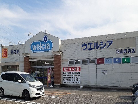 周辺 ウエルシア富山呉羽店まで350m 写真16