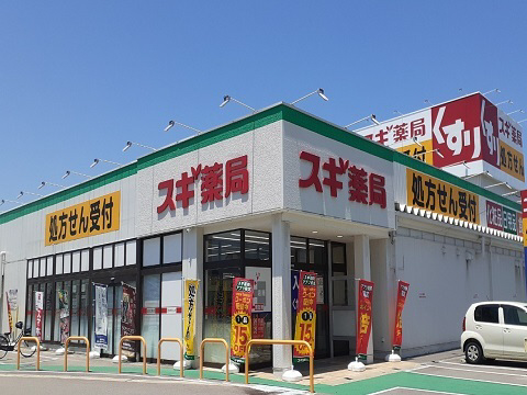 周辺 スギ薬局 赤江店まで250m 写真16