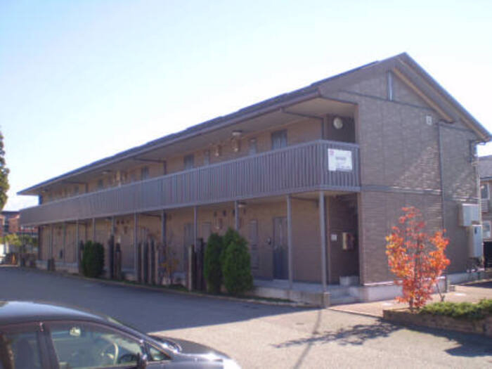 プリムローズ　B